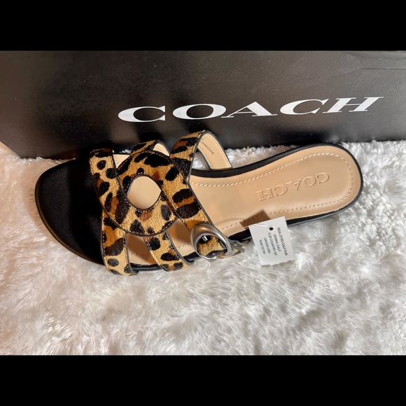 Coach - Picture 5 of 10